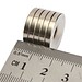 Ring-Magnet (5 Stück)