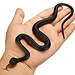 Rubber Snake Toy