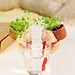 Wasser Absorbent Blumentopf Tier-Form