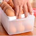 Egg Container