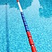Pool-Linien