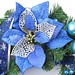 Blaue Weihnachtsblume