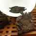 Yunnan Puer Tee 250G 1990S