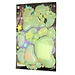 Tritt Stickers Glow In The Dark (27 Stück)