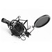 Professionelles Mikrofon Popfilter