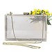 Transparent Clutch