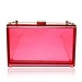 Transparent Clutch