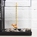 Aquarium Glasthermometer