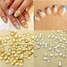 Shells Beach Für Nail Art