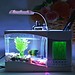 Mini-USB-Aquarium Mit LED-Lampe, Speicherabteil, Uhr Und Kalender