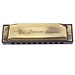 Harmonica SW10-4