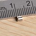 Mini-Neodym-Magnete 50 Stück