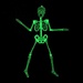 Glow In The Dark Skeleton