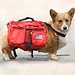 Rucksack Dog