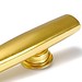 Gold Oder Silber Kazoo