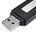 2 In 1 USB-Stick Und Voice Recorder