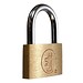 Padlock 30 Mm