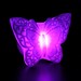 LEDNightlight Butterfly On Batterie