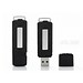 2 In 1 USB-Stick Und Voice Recorder