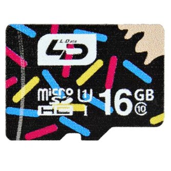 16 GB Micro SD-Karte
