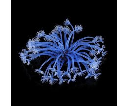 Blue Coral Aquarium Dekoration