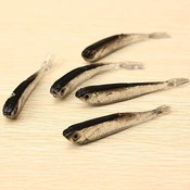 Ködern Fishies