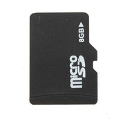 8GB Micro SD Karte
