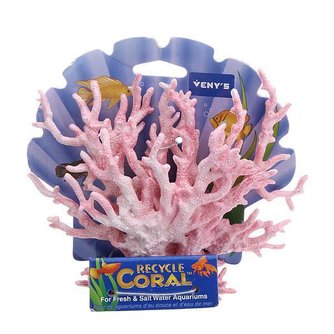 Aquarium Coral