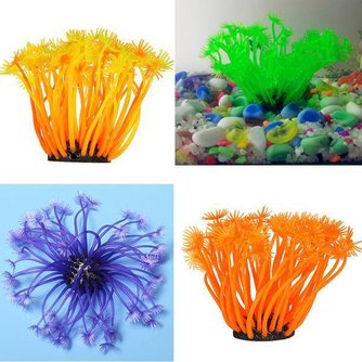 Kunst Coral Aquarium