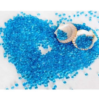 Aquarium Blue Glass Bottom