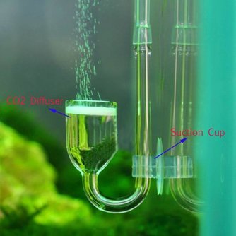 CO2-Diffusor Für Aquarien