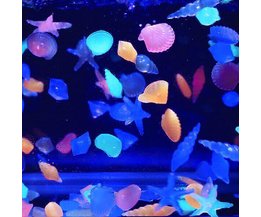 10 Fluorescent Aquarium Steine
