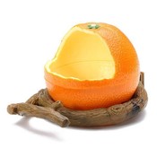 Feeder Birds Orange Orange Feeder Birds Orange Orange