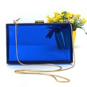 Transparent Clutch