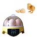 Egg Incubator