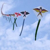 Bow Kites In Form Von Schwalben