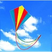 Multicoloured Kite Mit Endstück