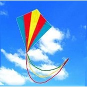 Multicoloured Kite Mit Endstück