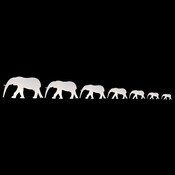 Elephant Wandaufkleber