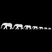 Elephant Wandaufkleber