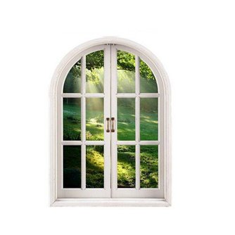 Fenster-Wand-Aufkleber Wald