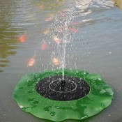 Lily-Brunnen In Dem Teich
