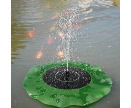 Lily-Brunnen In Dem Teich