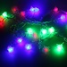 LED-String-Licht Mit Roses 4 Meter