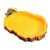 Wasser-Schüssel Für Schildkröten