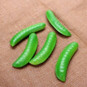 Gefälschte Lebensmittel Beans 10 Stück