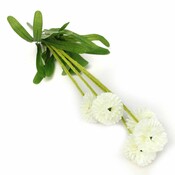 Kunst Lavendel In Verschiedenen Farben