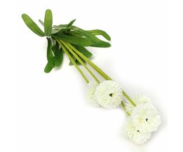 Kunst Lavendel In Verschiedenen Farben Kunst Lavendel In Verschiedenen Farben