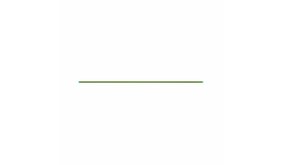 LPA LPA 1mm Fiber Optic 10cm Groen Truglo LPA LPA 1mm Fiber Optic 10cm Groen Truglo