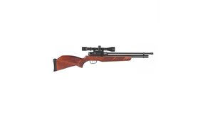 Gamo Gamo Coyote  5,5 mm (VE  3-9x40WR) + pomp
